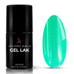 GL6061200_-Aurora-Nautilus-Shell-HR