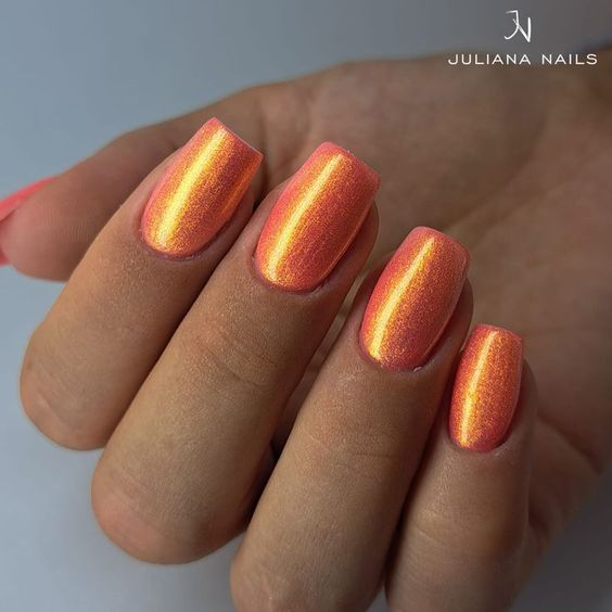 gl Aurora Cowrie Shell, gl Pink Sand Beach