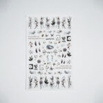 Nail Sticker - Winter Breeze 1